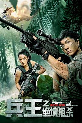 兵王之绝境狙杀 海报 高清在线观看