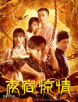 夜宿惊情 海报 高清在线观看