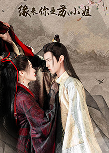 缘来你是苏小姐 海报 高清在线观看