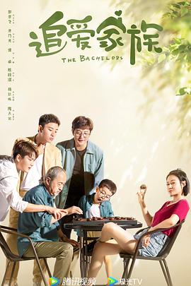 追爱家族 海报 高清在线观看