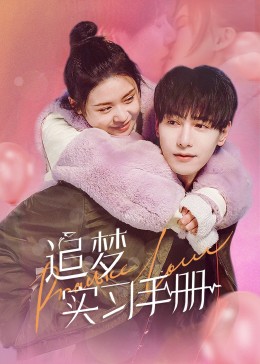 追梦实习手册 海报 高清在线观看