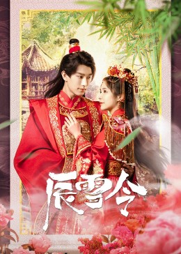 辰雪令 海报 高清在线观看