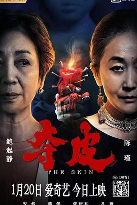 夺皮 海报 高清在线观看