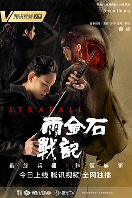 雨金石战记 海报 高清在线观看