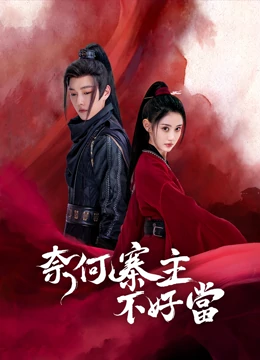 奈何寨主不好当 海报 高清在线观看