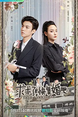 求求了，快复婚吧 海报 高清在线观看
