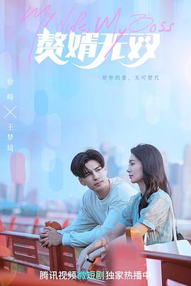 赘婿无双 海报 高清在线观看