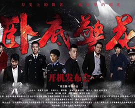 卧底警花 海报 高清在线观看