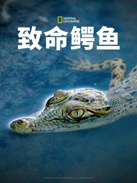 致命鳄鱼 海报 高清在线观看