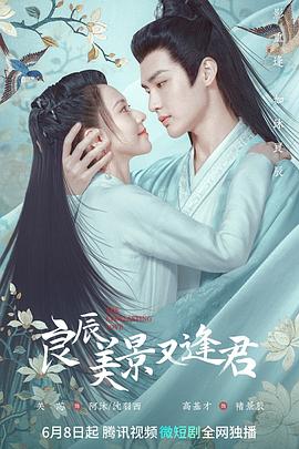 良辰美景又逢君 海报 高清在线观看