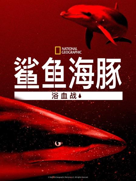 鲨鱼海豚浴血战 海报 高清在线观看