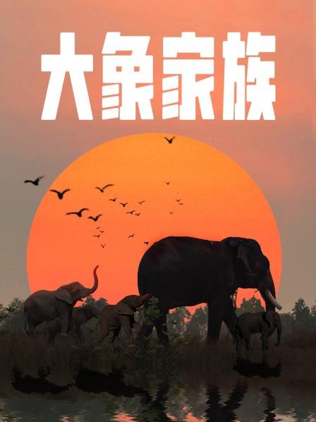 大象家族 海报 高清在线观看