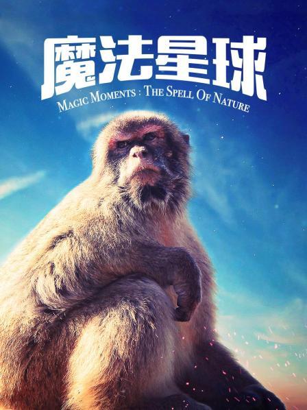 魔法星球 海报 高清在线观看