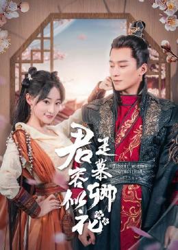 君是慕容卿似花 海报 高清在线观看