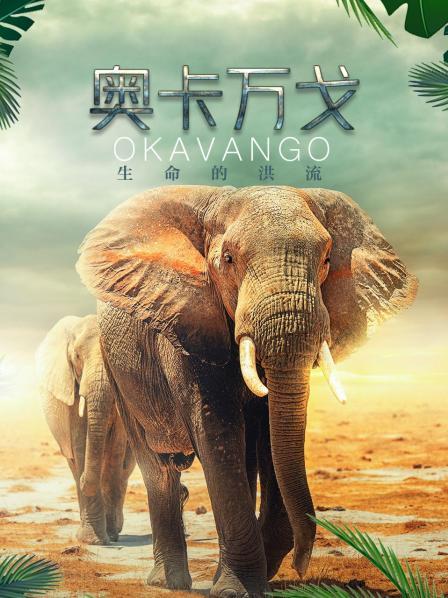 奥卡万戈：生命的洪流 海报 高清在线观看
