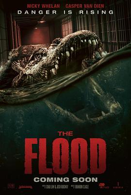致命洪灾 The Flood 海报 高清在线观看