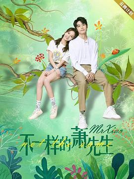 不一样的萧先生 海报 高清在线观看