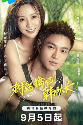 束手就擒吧！韩队长 海报 高清在线观看