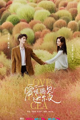 治愈系恋人 海报 高清在线观看