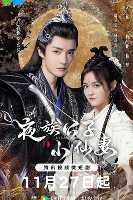 夜族公子小仙妻 海报 高清在线观看