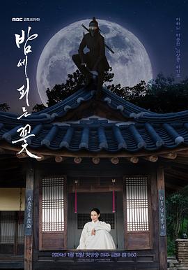 夜晚开的花 海报 高清在线观看