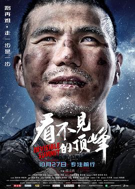 看不见的顶峰 海报 高清在线观看