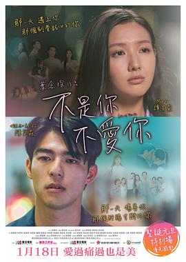 不是你不爱你 海报 高清在线观看
