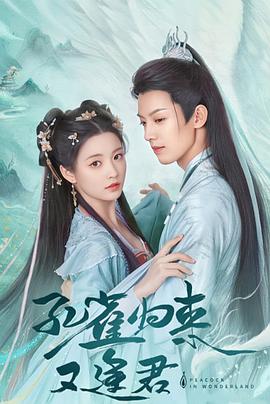 孔雀圣使请动心 海报 高清在线观看