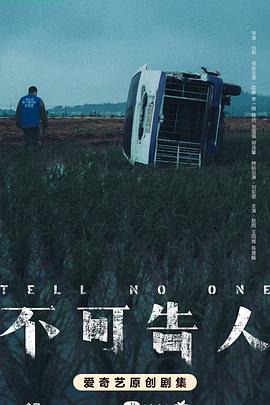 不可告人2024 海报 高清在线观看