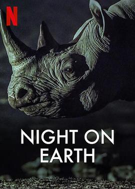 地球的夜晚 海报 高清在线观看