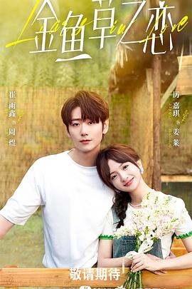 无法抗拒的谎言 海报 高清在线观看