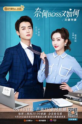 奈何BOSS又如何 海报 高清在线观看