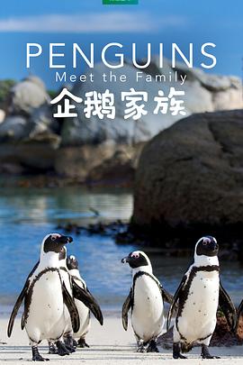 企鹅家族 海报 高清在线观看