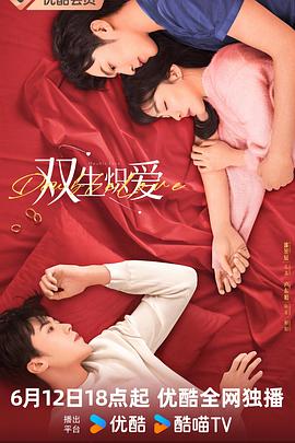 双生炽爱 海报 高清在线观看