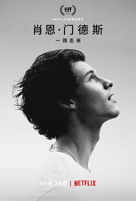 肖恩·门德斯：一路走来 海报 高清在线观看
