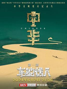中华：龙的传人 海报 高清在线观看