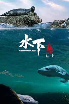水下中国第二季 海报 高清在线观看