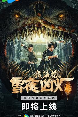 藏海花之雪夜凶灯 海报 高清在线观看