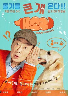 狗话 海报 高清在线观看