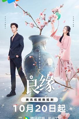 流光鉴良缘 海报 高清在线观看