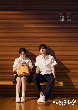 暗格里的秘密 海报 高清在线观看