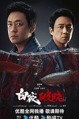 白夜破晓 海报 高清在线观看