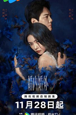婚内婚外 海报 高清在线观看