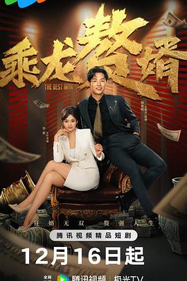 乘龙赘婿 海报 高清在线观看