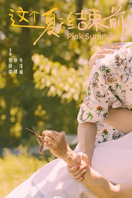这个夏天结束前 海报 高清在线观看