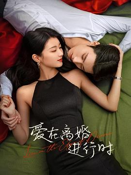 爱在离婚进行时 海报 高清在线观看