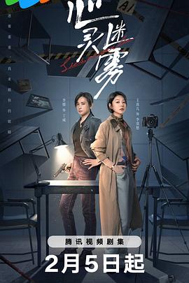 心灵迷雾 海报 高清在线观看