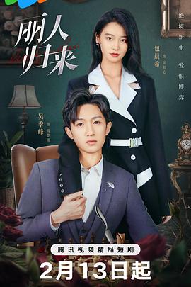 丽人归来 海报 高清在线观看