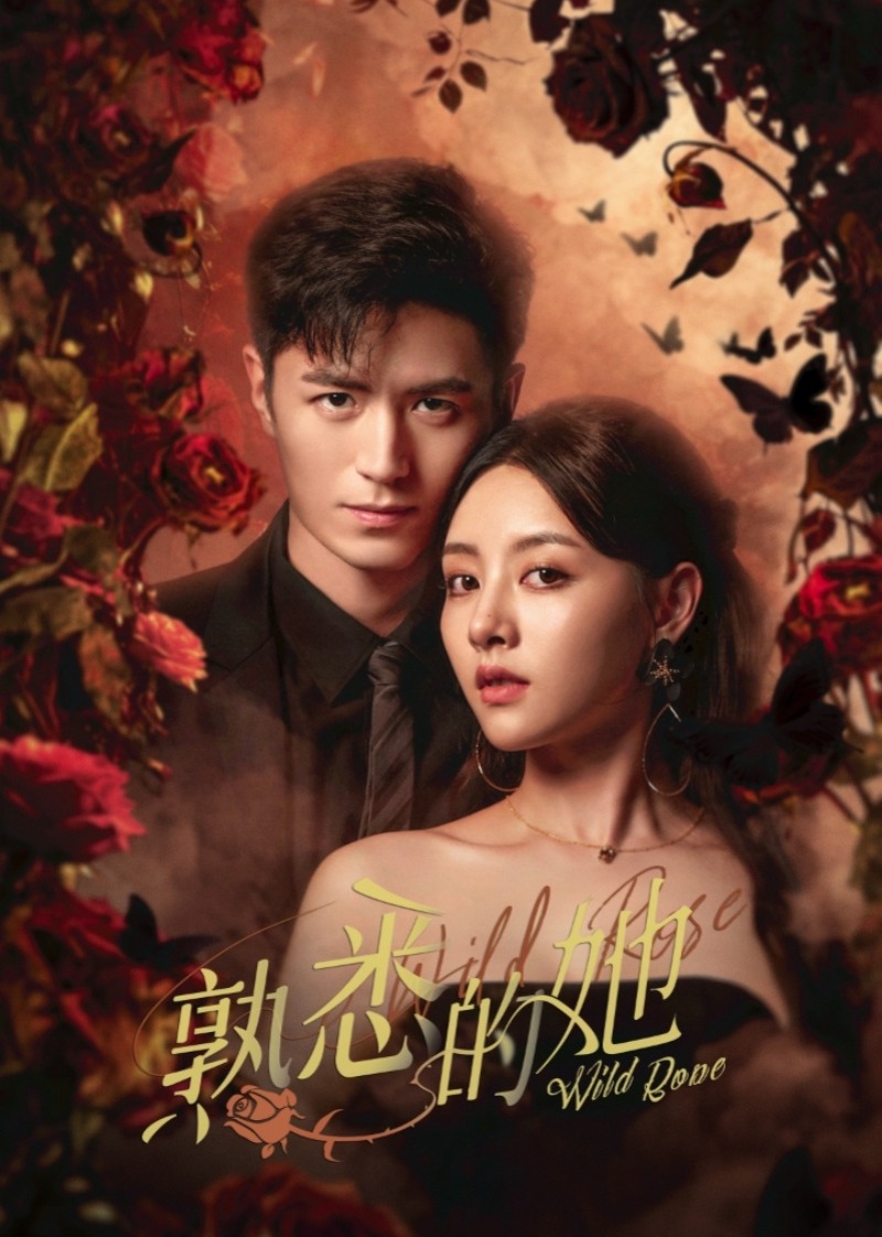 熟悉的她 海报 高清在线观看