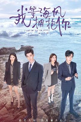 我等海风拥抱你 海报 高清在线观看